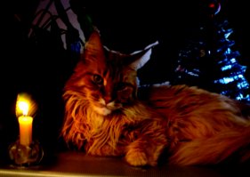 А где продолжение, как рабочих-шутников с завода увольняли? Останов конвейера - это дело пипец, какое серьезное. Необоснованный останов, особенно. Это во-первых.
Во-вторых, пустует должность инженера-конструктора, а девушку взяли начальником участка. Она что? Тоже пустовала? И как начальником участка могли сделать человека без стажа работы на этом участке? Это ж уголовная ответственность за людей.
В-третьих, кабинет директора завода на промзоне?! Ну, допустим, бывает. И он с утра сидит у себя в кабинете совсем один? Ну, допустим, сложились звезды. А с хрена ли он должен решать проблемы с остановом конвейера?
Короче, стадо котов с лампой