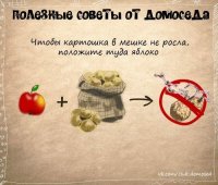 Вот про это:



А разве само яблоко не начнёт гнить раньше картохи??
