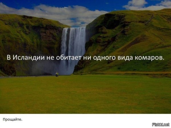 (читать голосом дяди Коли Дроздова):
- Животный мир Урала очень богат. Здесь встречается около 20,000 видов животных. Так, к примеру, одних только комаров - 18,500 видов!