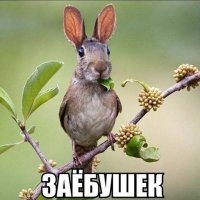 Тоже редкое создание.