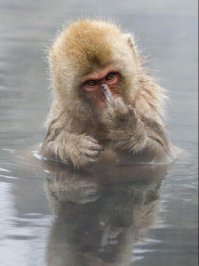 кнопки не поломал, дятел? :)