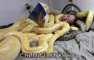 Топ 6 змей для новичков