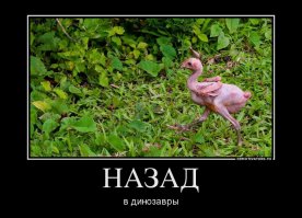 15 шокирующих результатов научных экспериментов