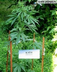 Куча вопросов и ни одного ответа