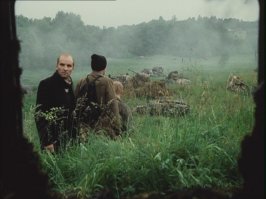 41 танк, захваченный природой