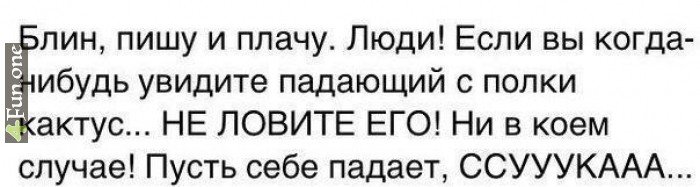 Пришел к знакомым в гости. А они там  кактус рассаживают. Ну и навязали мне тоже. Я его домой принес, поставил на подоконник и забыл на всю зиму. А по весне, отодвинув штору... О! точно у меня же кактус! Ну я его полил раз такое дело, а через пару недель он зацвел, мелкими желтыми цветочками. Но все равно он не выжил у меня, молчаливый шибко. Вот то ли дело котЭ, хрен забудешь покормить