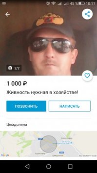 Не авито правда, а юла