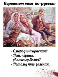 Лучшие блиц-диалоги, подслушанные на рынке Белореченска