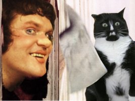 Манул загрыз троих грабителей