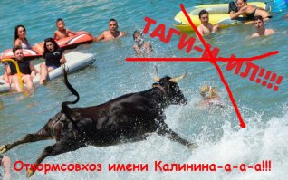 Фотоподборка за 11.07.2017