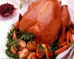 Прекрасные птицы от прекрасных фотографов