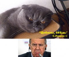 Пушистый косплей: котики в образах всем известных героев