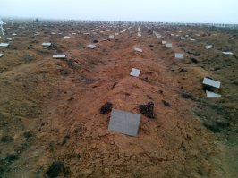 "хирургические отходы". Одесса.