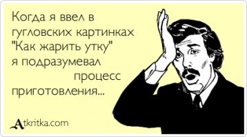 Четыре утки «задержаны» за бродяжничество полицией США