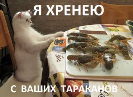 Куда делись тараканы из российских квартир