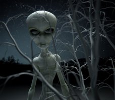 Ну, главное, чтобы енто НЛО не прилетело обратно, и не подало в суд за съёмку!!!