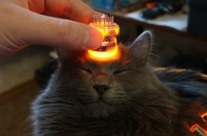 Конец одного бабника