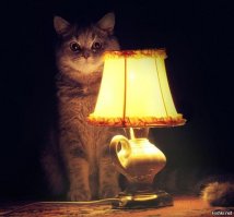 А до этого Лондонские школьники и не догадывались о том , что есть на свете шоколадки ,печенье и пр. И тут увидев в туалете парня 11 лет от роду,торгующего таким доселе невиданным товаром, выстроились в очередь.... И старшеклассники ничего не отобрали.