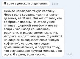 Домашняя собака поделилась своим одеялом с замерзающим бродячим псом