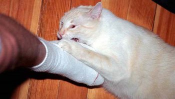 Разуваться опасно.