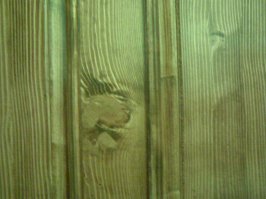 Показалось: 16 предметов, которые перевоплотились в другие вещи