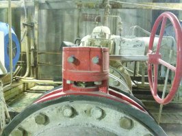 Показалось: 16 предметов, которые перевоплотились в другие вещи