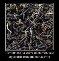 Про офисное неравноправие