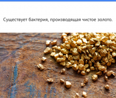 А можно вот об этом бесполезном факте, поподробнее:)!