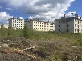 Добавлю еще фоток, свежие, конец июня 2017