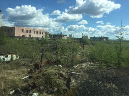 Добавлю еще фоток, свежие, конец июня 2017