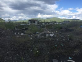 Добавлю еще фоток, свежие, конец июня 2017