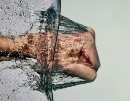 15 фотографий, сделанных в нужный момент