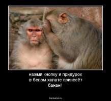 Чувство справедливости у животных