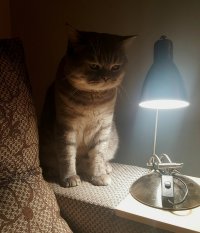 Про офисное неравноправие