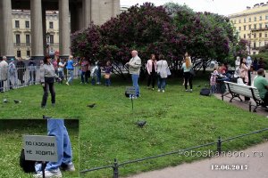 Заключительная подборка на тему "против системы", но это ещё не точно