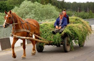 вообще то это телега