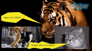 Кажется у вас второй тигр "сломался"