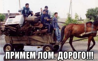 41 танк, захваченный природой