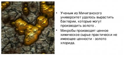 Бесполезные факты 2