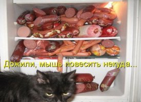 Что можно найти в холодильнике?