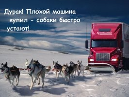 Бесполезные факты 2