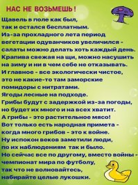 Времена тяжелые, хочешь выжить - экономь