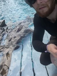 К беззаботным школьникам под водой подплыли 4 сотни акул