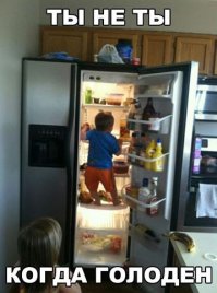 Что можно найти в холодильнике?