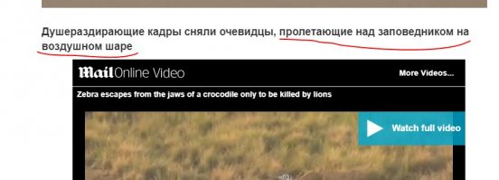 От судьбы не уйдешь: спасаясь от крокодила, зебра угодила в лапы львиц
