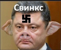 Всё, что вы не знали о Сфинксе: 15 интересных фактов о древнейшем монументе