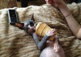 Уберите... и дайте мороженое.