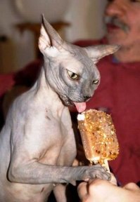 Уберите... и дайте мороженое.