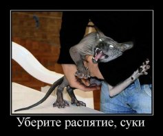 Уберите... и дайте мороженое.