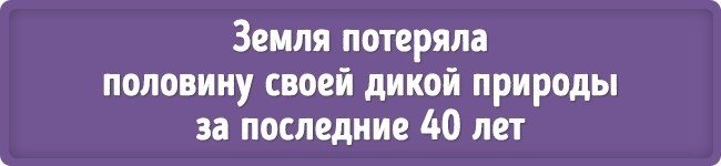 Не Земля потеряла, а человек уничтожил.
Почувствуйте разницу.